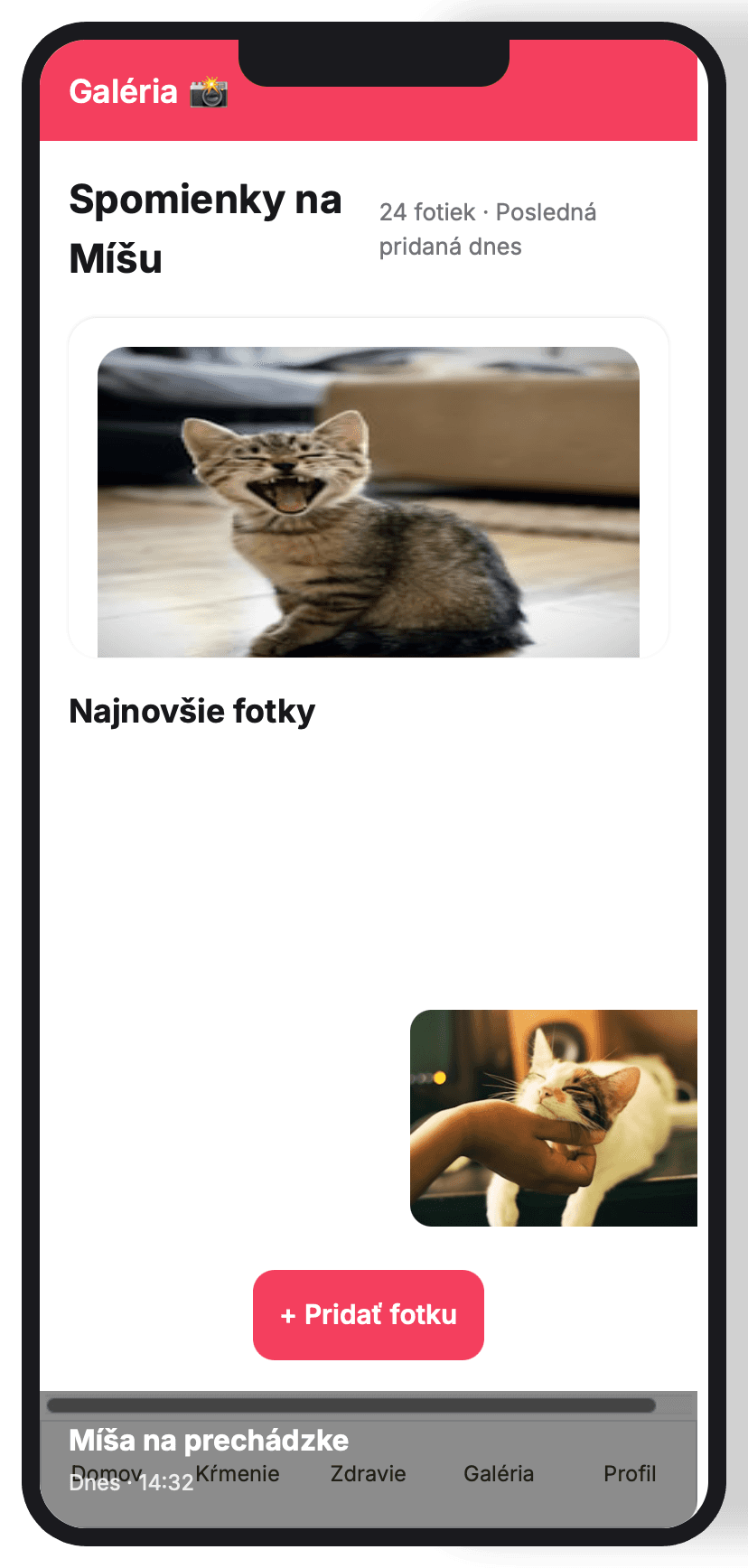 Cat Care Gallery
